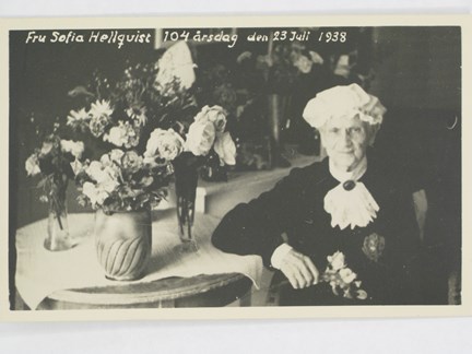Öppna bilden