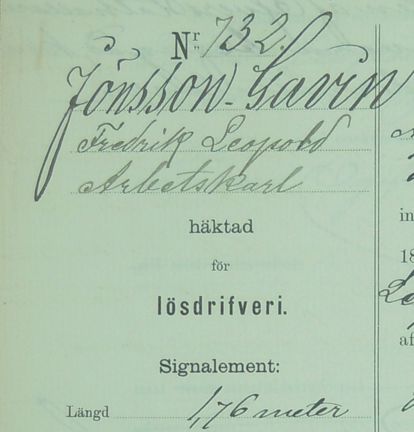 Utsnitt ur förhörsprotokollet.