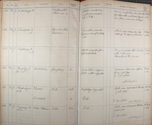 Bostadsinspektionen - besiktning av osunda bostäder 1908