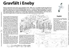 Gravfält i Eneby
